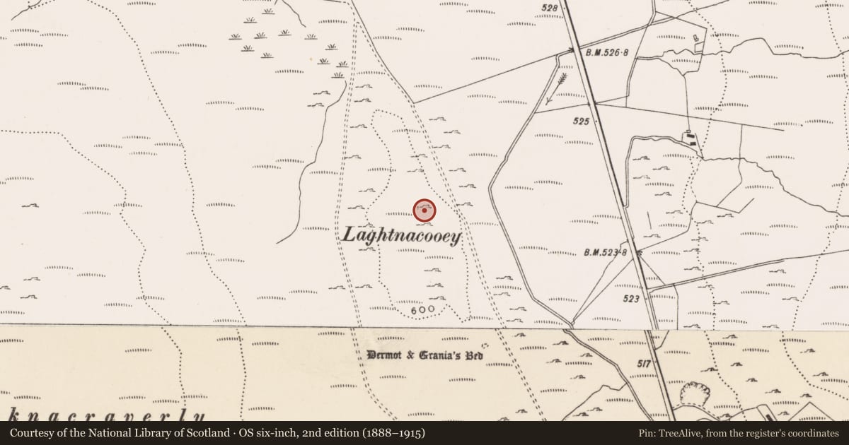 Ordnance Survey six-inch map, 2nd edition (1888–1915) covering the location of Megalithic tomb - wedge tomb, Carrowmore Or Glentogher, County Donegal, with a pin at the register's coordinates