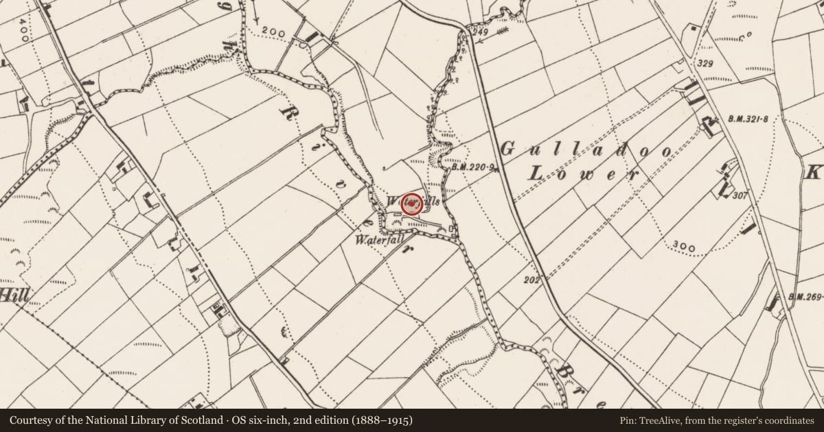 Ordnance Survey six-inch map, 2nd edition (1888–1915) covering the location of Ringfort - unclassified, Bredagh Glen, County Donegal, with a pin at the register's coordinates