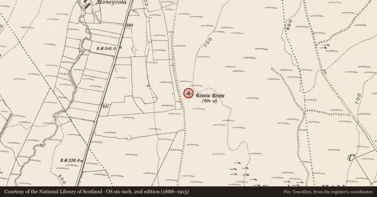 Ordnance Survey six-inch map, 2nd edition (1888–1915) covering the location of Megalithic tomb - unclassified, Tullyally, County Donegal, with a pin at the register's coordinates