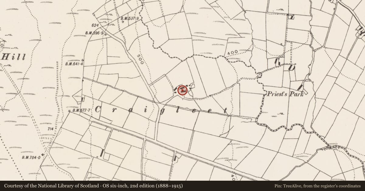 Ordnance Survey six-inch map, 2nd edition (1888–1915) covering the location of Standing stone, Ballylawn, County Donegal, with a pin at the register's coordinates