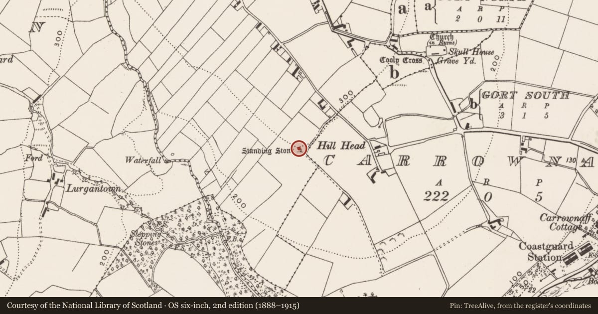 Ordnance Survey six-inch map, 2nd edition (1888–1915) covering the location of Standing stone, Cooly, County Donegal, with a pin at the register's coordinates
