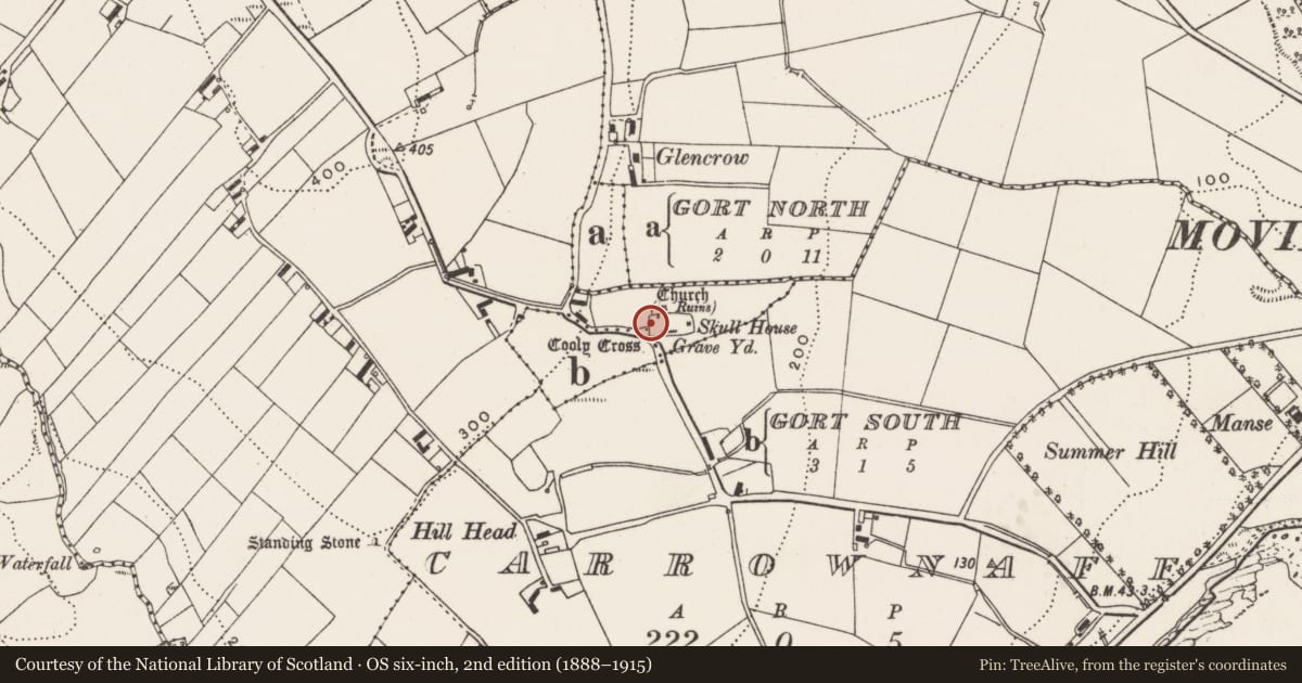 Ordnance Survey six-inch map, 2nd edition (1888–1915) covering the location of Cross - High cross, Cooly, County Donegal, with a pin at the register's coordinates