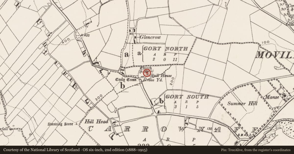 Ordnance Survey six-inch map, 2nd edition (1888–1915) covering the location of Cross-slab, Cooly, County Donegal, with a pin at the register's coordinates