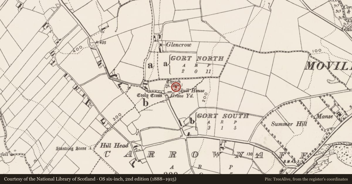Ordnance Survey six-inch map, 2nd edition (1888–1915) covering the location of Bullaun stone, Cooly, County Donegal, with a pin at the register's coordinates