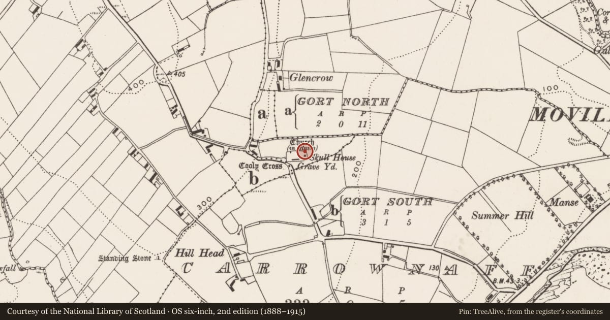 Ordnance Survey six-inch map, 2nd edition (1888–1915) covering the location of Cross-slab, Cooly, County Donegal, with a pin at the register's coordinates