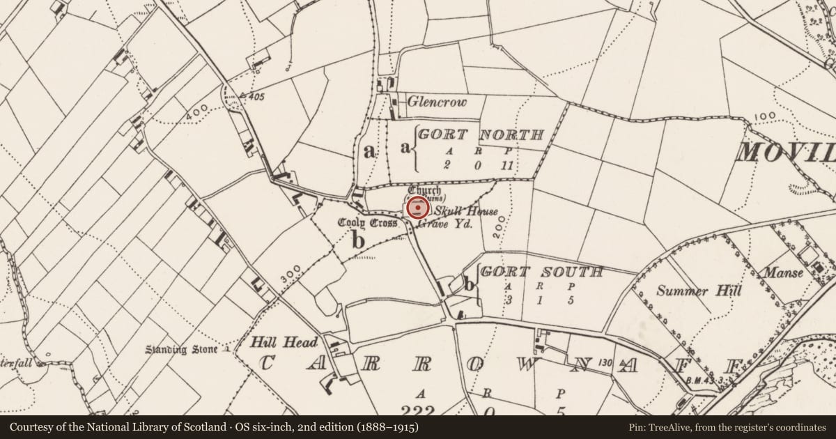 Ordnance Survey six-inch map, 2nd edition (1888–1915) covering the location of Cross-slab, Cooly, County Donegal, with a pin at the register's coordinates