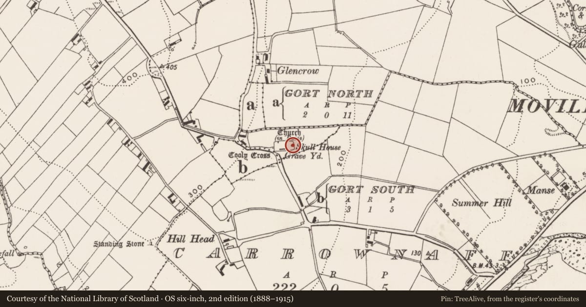 Ordnance Survey six-inch map, 2nd edition (1888–1915) covering the location of Cross-slab, Cooly, County Donegal, with a pin at the register's coordinates