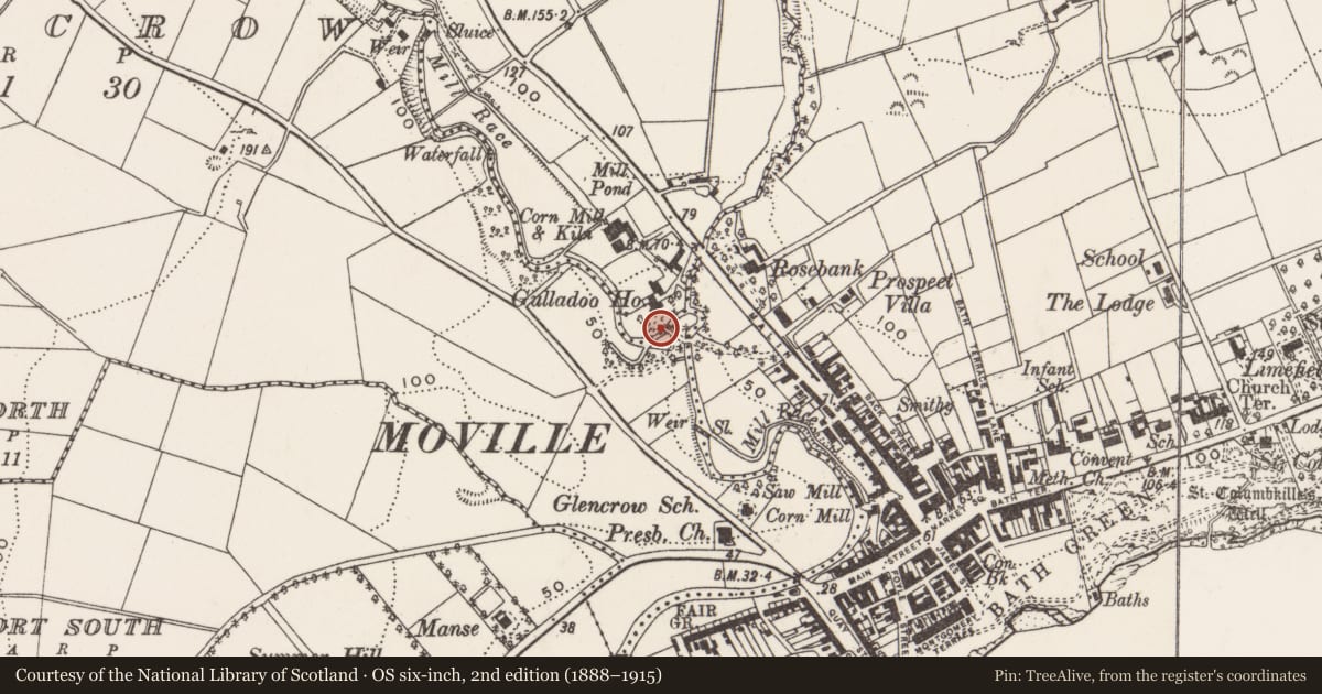 Ordnance Survey six-inch map, 2nd edition (1888–1915) covering the location of Bridge, Glencrow, County Donegal, with a pin at the register's coordinates