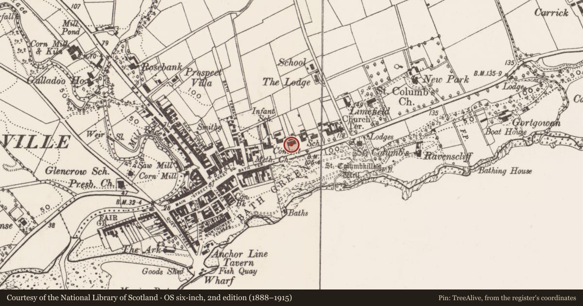 Ordnance Survey six-inch map, 2nd edition (1888–1915) covering the location of Cross-slab (present location), Ballynally, County Donegal, with a pin at the register's coordinates