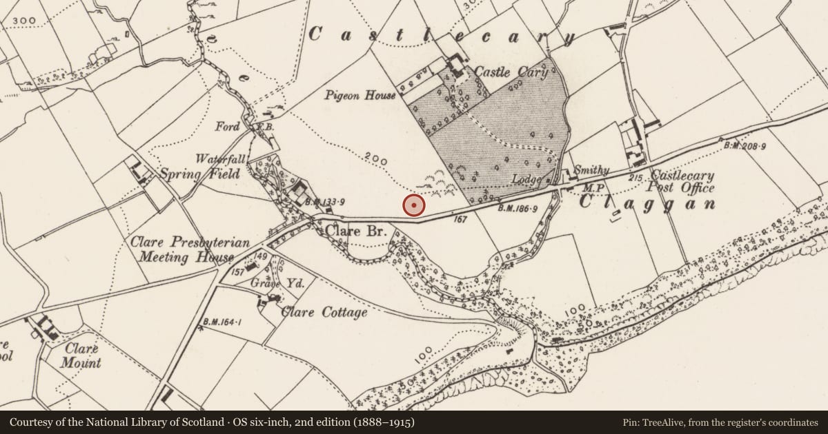 Ordnance Survey six-inch map, 2nd edition (1888–1915) covering the location of Bullaun stone, Ballyrattan, County Donegal, with a pin at the register's coordinates