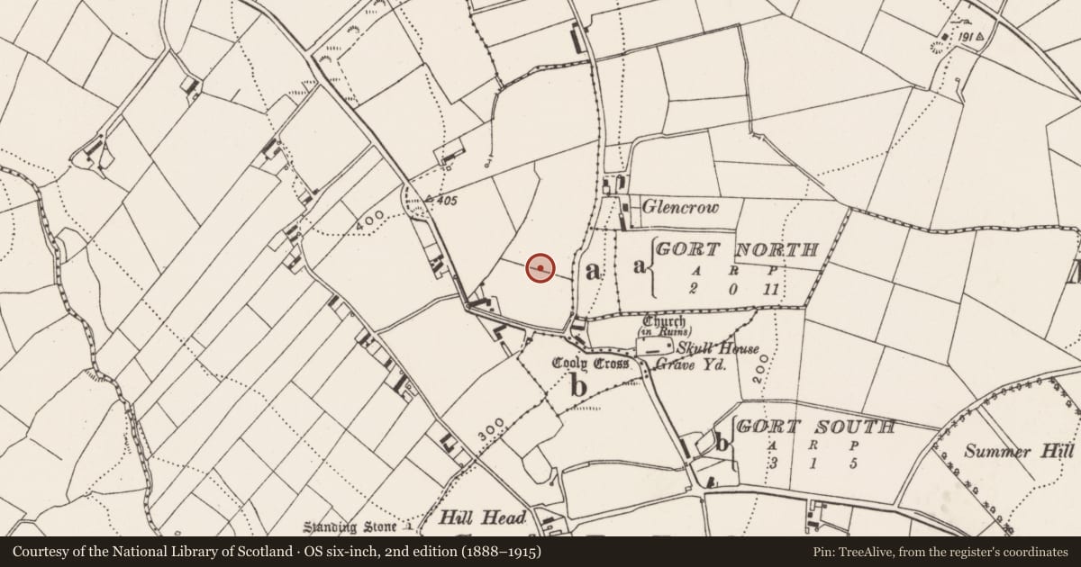 Ordnance Survey six-inch map, 2nd edition (1888–1915) covering the location of Souterrain, Cooly, County Donegal, with a pin at the register's coordinates