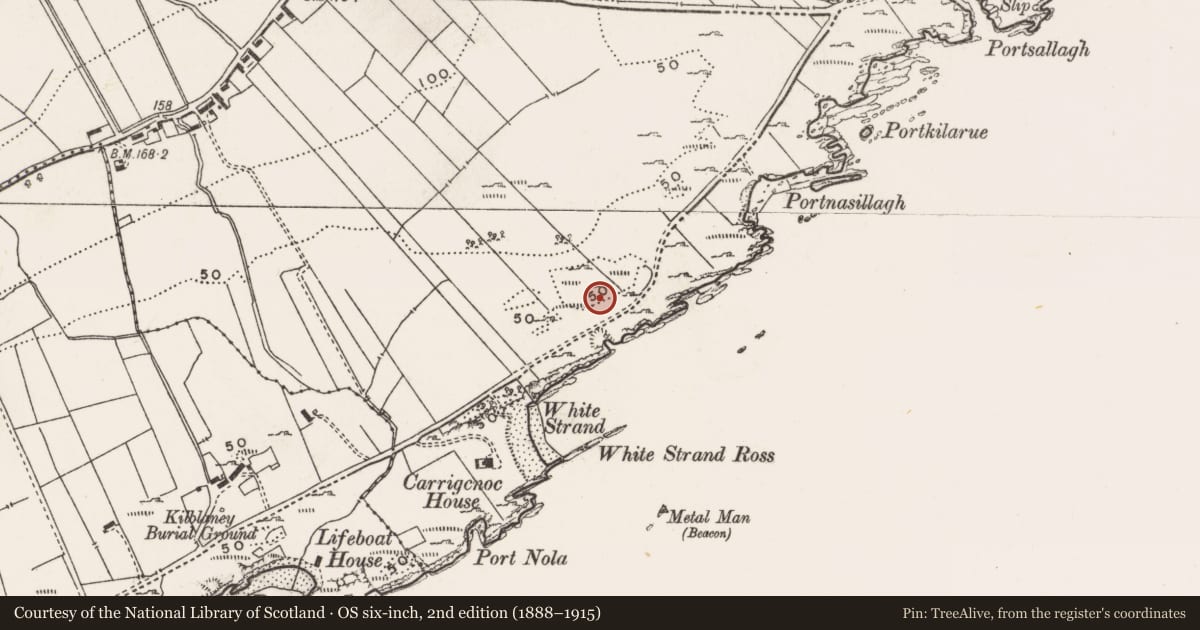 Ordnance Survey six-inch map, 2nd edition (1888–1915) covering the location of Burial ground, Carrowtrasna, County Donegal, with a pin at the register's coordinates