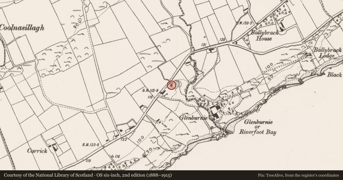 Ordnance Survey six-inch map, 2nd edition (1888–1915) covering the location of Ringfort - rath, Carnagarve, County Donegal, with a pin at the register's coordinates