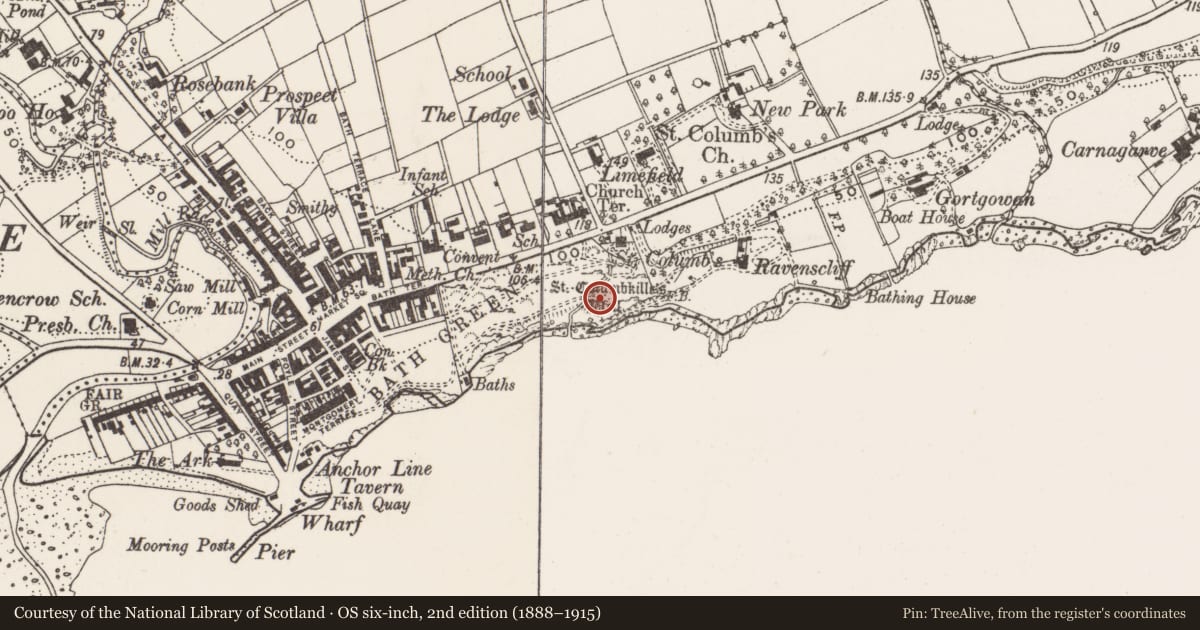 Ordnance Survey six-inch map, 2nd edition (1888–1915) covering the location of Ritual site - holy well, Ballynally, County Donegal, with a pin at the register's coordinates