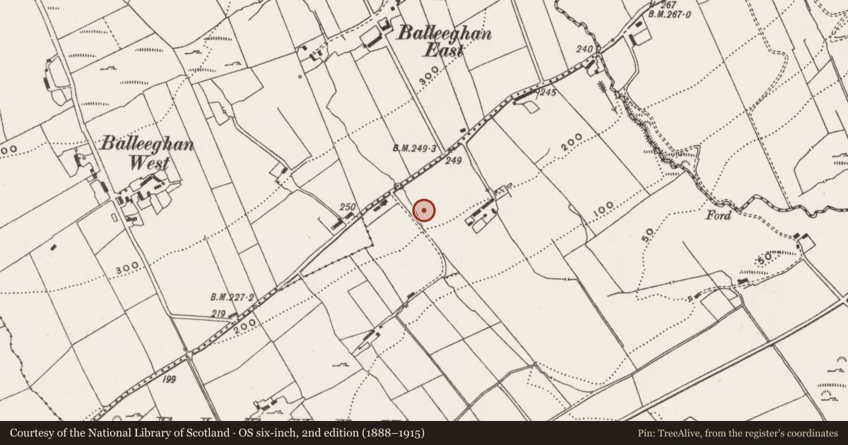 Ordnance Survey six-inch map, 2nd edition (1888–1915) covering the location of Souterrain, Eleven Ballyboes, County Donegal, with a pin at the register's coordinates