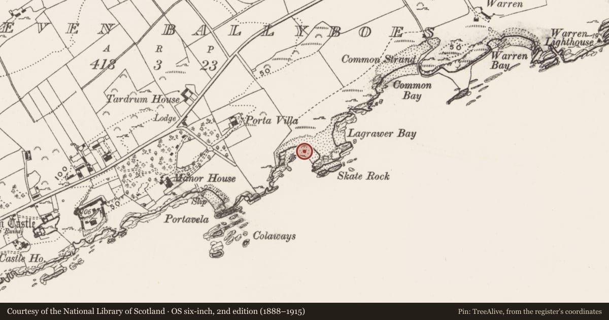 Ordnance Survey six-inch map, 2nd edition (1888–1915) covering the location of Midden, Eleven Ballyboes, County Donegal, with a pin at the register's coordinates