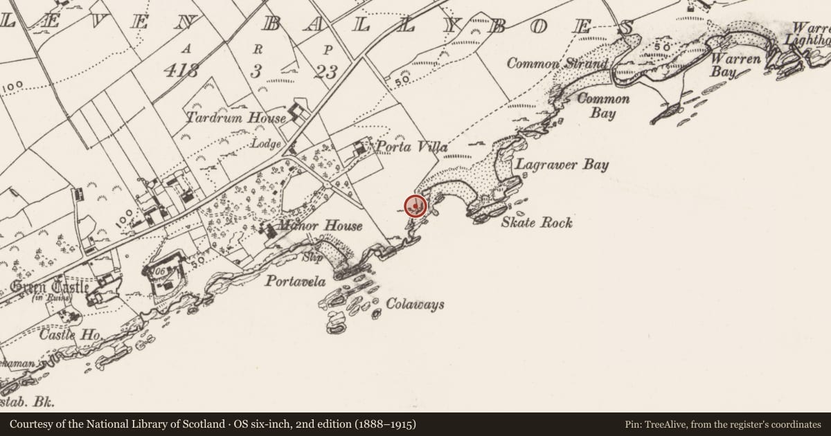 Ordnance Survey six-inch map, 2nd edition (1888–1915) covering the location of Midden, Eleven Ballyboes, County Donegal, with a pin at the register's coordinates