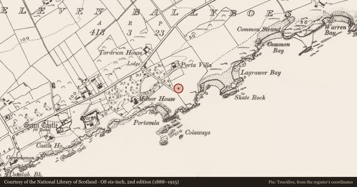 Ordnance Survey six-inch map, 2nd edition (1888–1915) covering the location of Habitation site, Eleven Ballyboes, County Donegal, with a pin at the register's coordinates