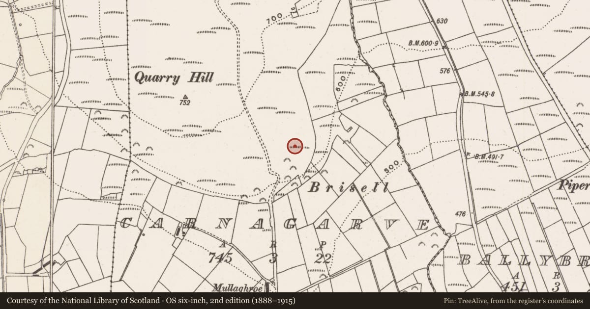 Ordnance Survey six-inch map, 2nd edition (1888–1915) covering the location of Hillfort, Carnagarve, County Donegal, with a pin at the register's coordinates