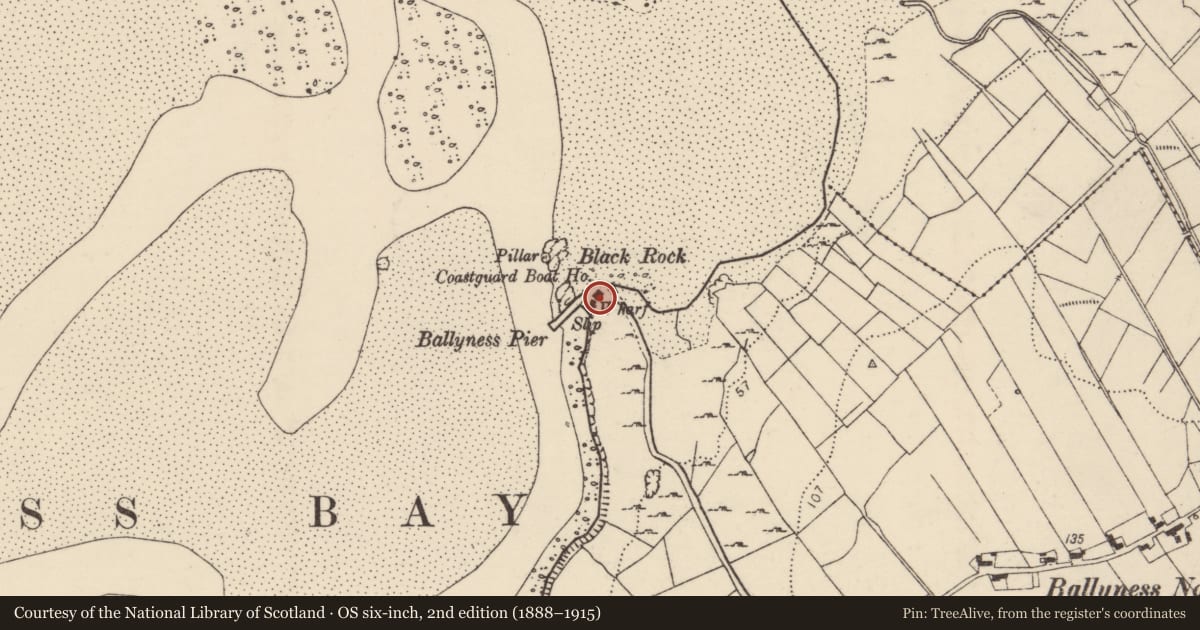 Ordnance Survey six-inch map, 2nd edition (1888–1915) covering the location of Midden, Baile An Easa, County Donegal, with a pin at the register's coordinates