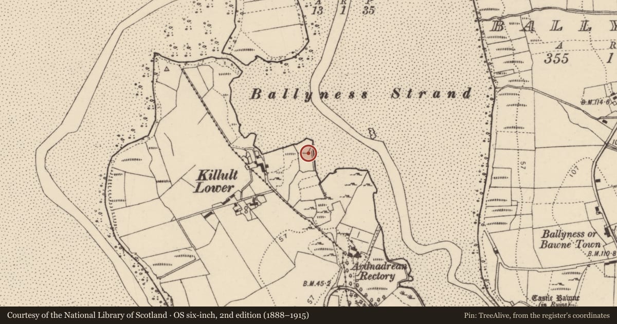Ordnance Survey six-inch map, 2nd edition (1888–1915) covering the location of Graveyard, An Glaidhb (TC Na Croisbhealaí), County Donegal, with a pin at the register's coordinates