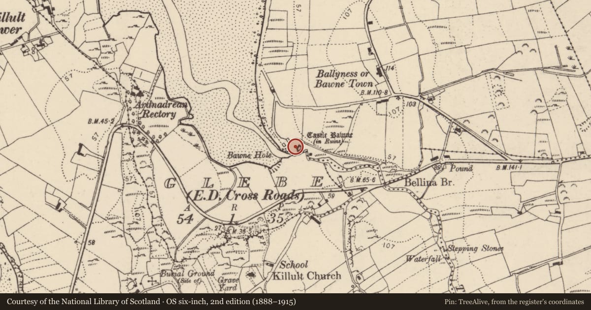 Ordnance Survey six-inch map, 2nd edition (1888–1915) covering the location of Bawn, Baile An Easa, County Donegal, with a pin at the register's coordinates