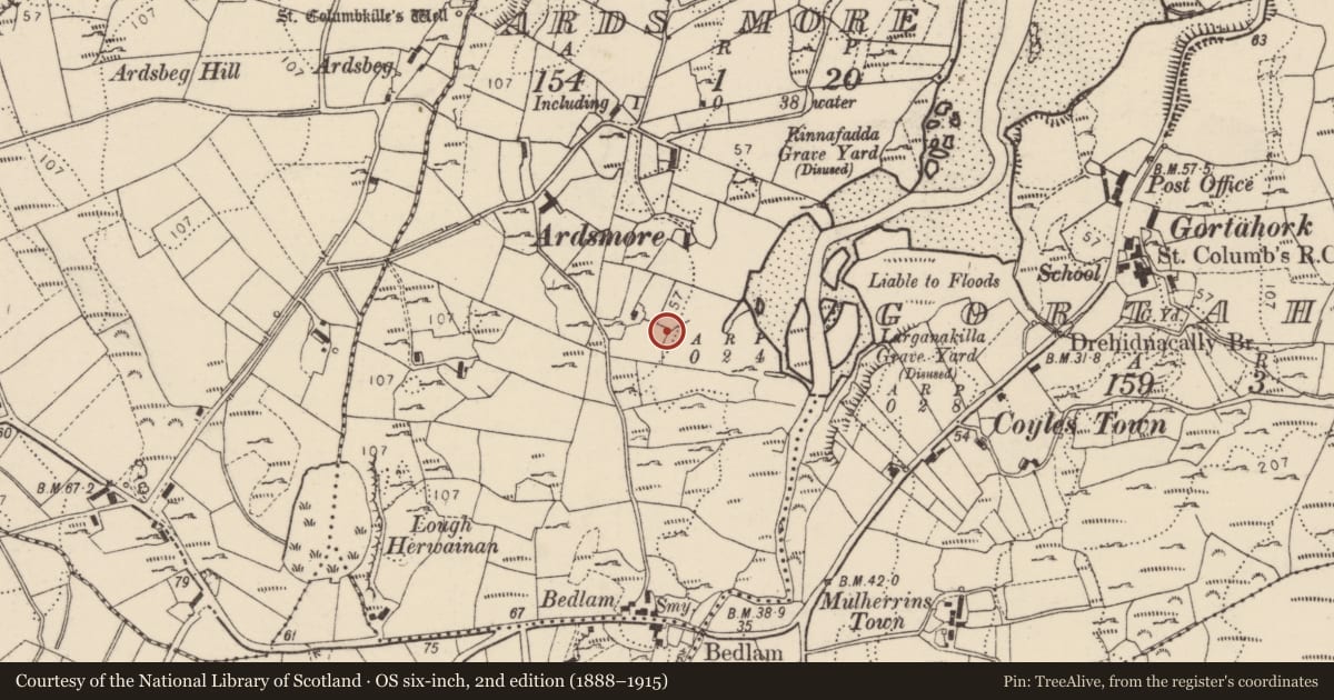 Ordnance Survey six-inch map, 2nd edition (1888–1915) covering the location of Burial ground, An Ardaidh Mhór, County Donegal, with a pin at the register's coordinates