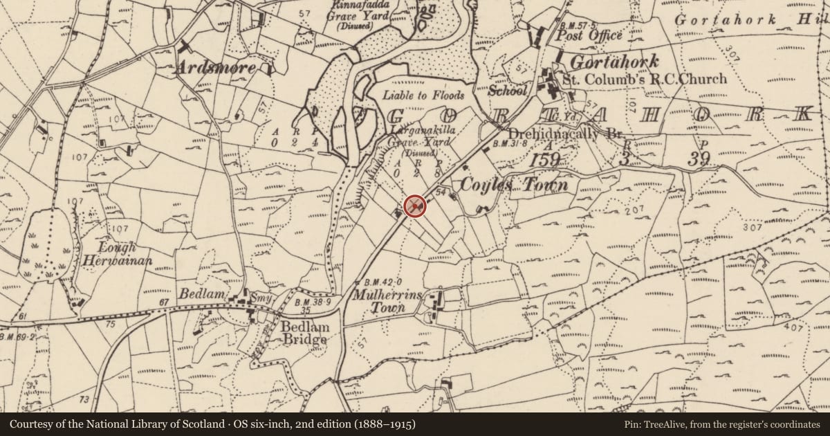 Ordnance Survey six-inch map, 2nd edition (1888–1915) covering the location of Souterrain, Gort An Choirce (TC Gort an Choirce), County Donegal, with a pin at the register's coordinates