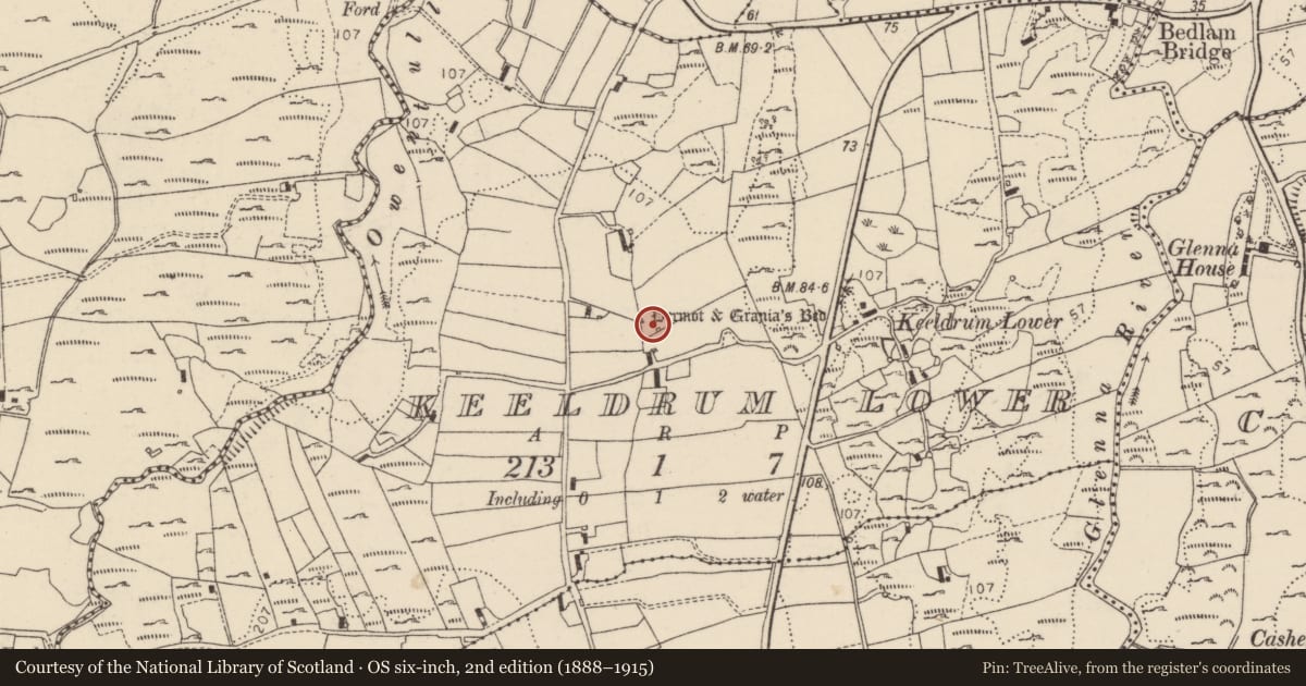 Ordnance Survey six-inch map, 2nd edition (1888–1915) covering the location of Megalithic tomb - unclassified, Caoldroim Íochtarach, County Donegal, with a pin at the register's coordinates