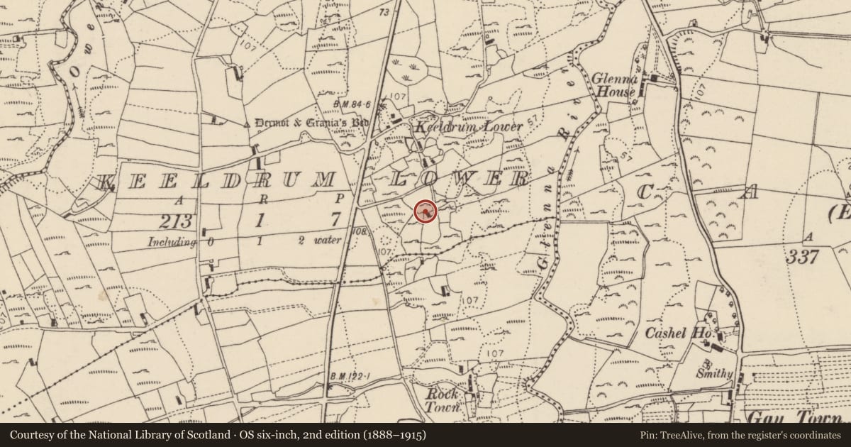 Ordnance Survey six-inch map, 2nd edition (1888–1915) covering the location of Burial, Caoldroim Íochtarach, County Donegal, with a pin at the register's coordinates