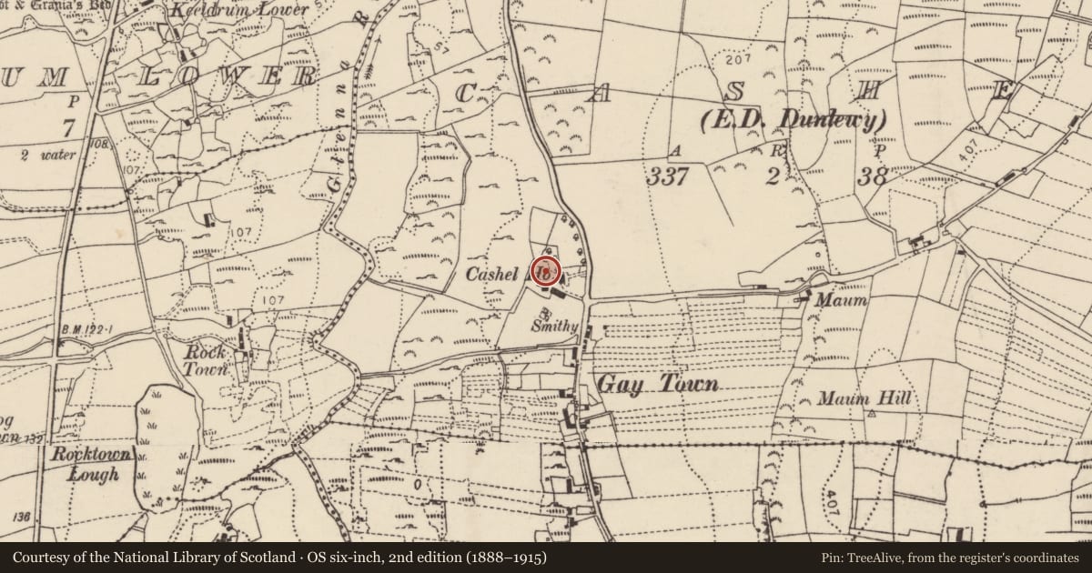 Ordnance Survey six-inch map, 2nd edition (1888–1915) covering the location of Souterrain, An Caiseal (TC Dún Lúiche), County Donegal, with a pin at the register's coordinates