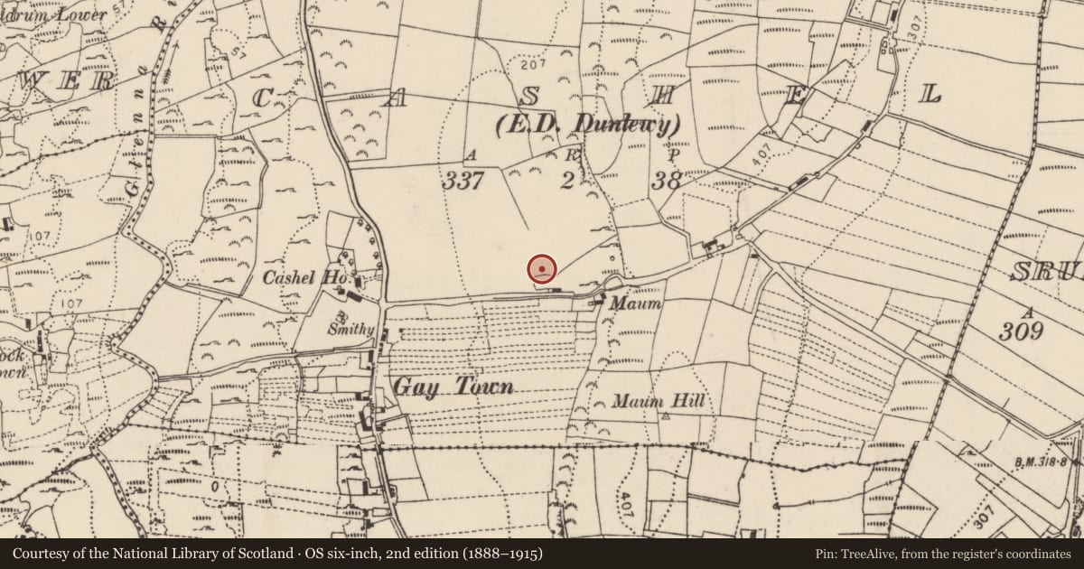 Ordnance Survey six-inch map, 2nd edition (1888–1915) covering the location of Ringfort - cashel, An Caiseal (TC Dún Lúiche), County Donegal, with a pin at the register's coordinates
