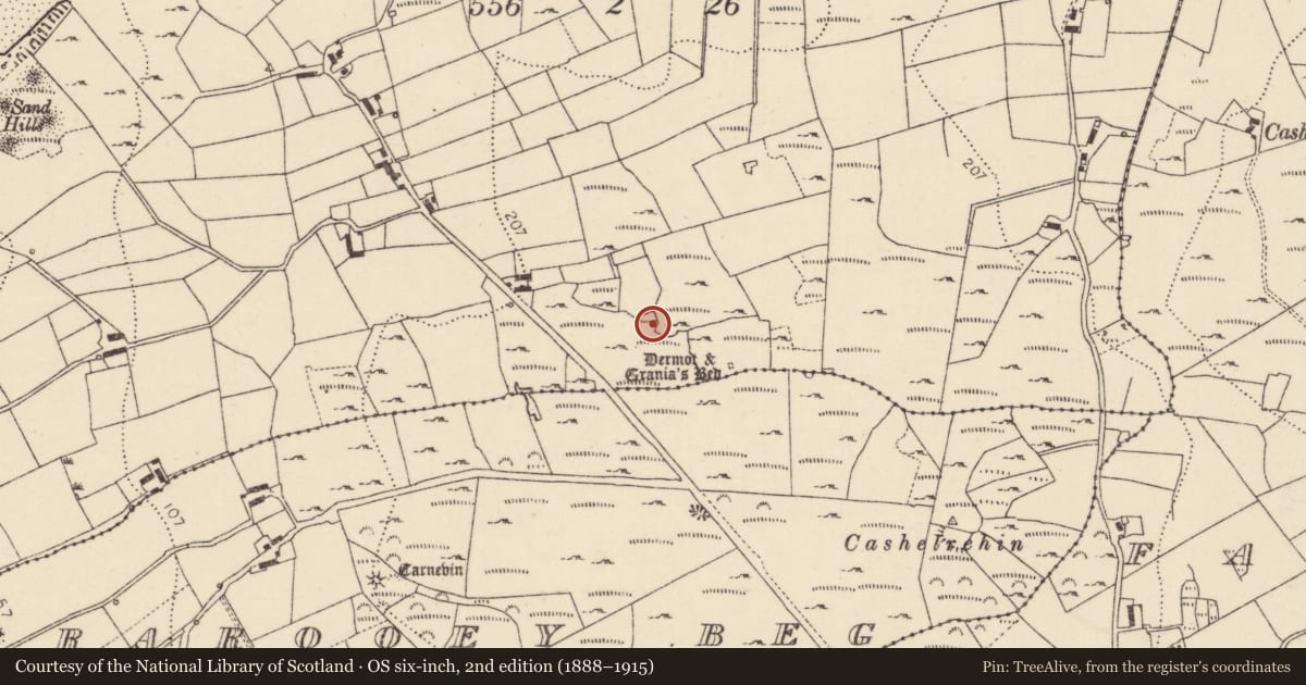 Ordnance Survey six-inch map, 2nd edition (1888–1915) covering the location of Ringfort - cashel, Oirear Dhumhaí Mór, County Donegal, with a pin at the register's coordinates