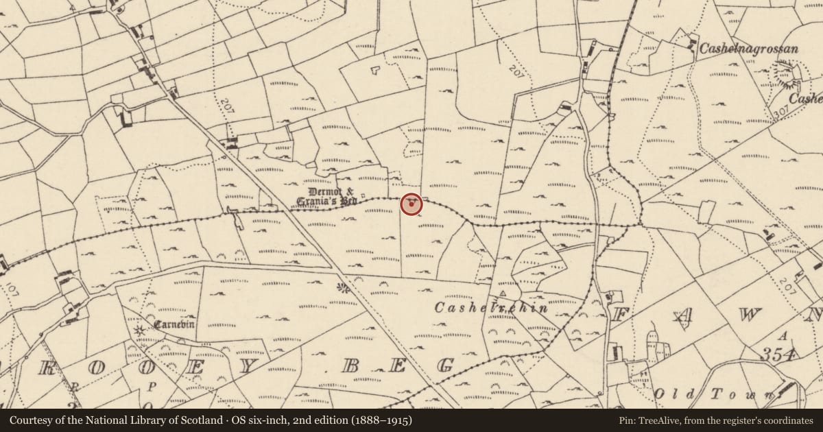 Ordnance Survey six-inch map, 2nd edition (1888–1915) covering the location of Megalithic tomb - court tomb, Oirear Dhumhaí Beag, County Donegal, with a pin at the register's coordinates