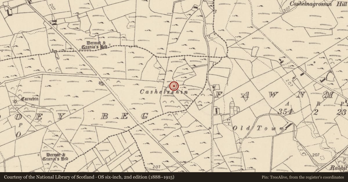 Ordnance Survey six-inch map, 2nd edition (1888–1915) covering the location of Ringfort - cashel, Oirear Dhumhaí Beag, County Donegal, with a pin at the register's coordinates