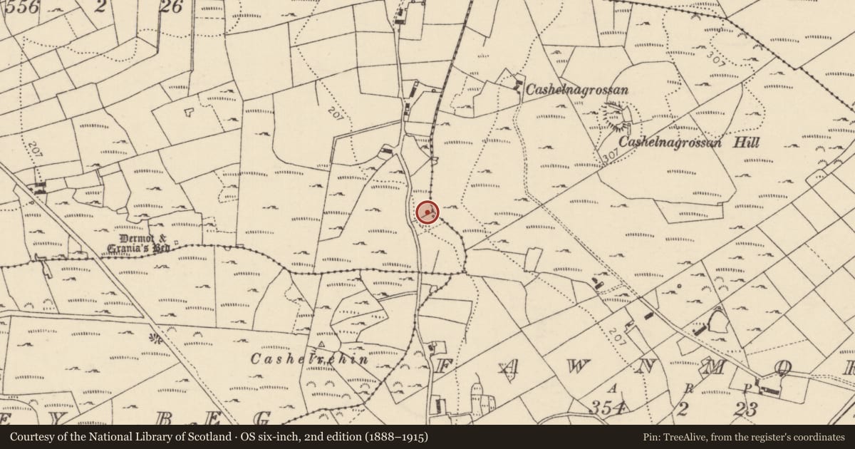 Ordnance Survey six-inch map, 2nd edition (1888–1915) covering the location of Fulacht fia, Oirear Dhumhaí Mór, County Donegal, with a pin at the register's coordinates