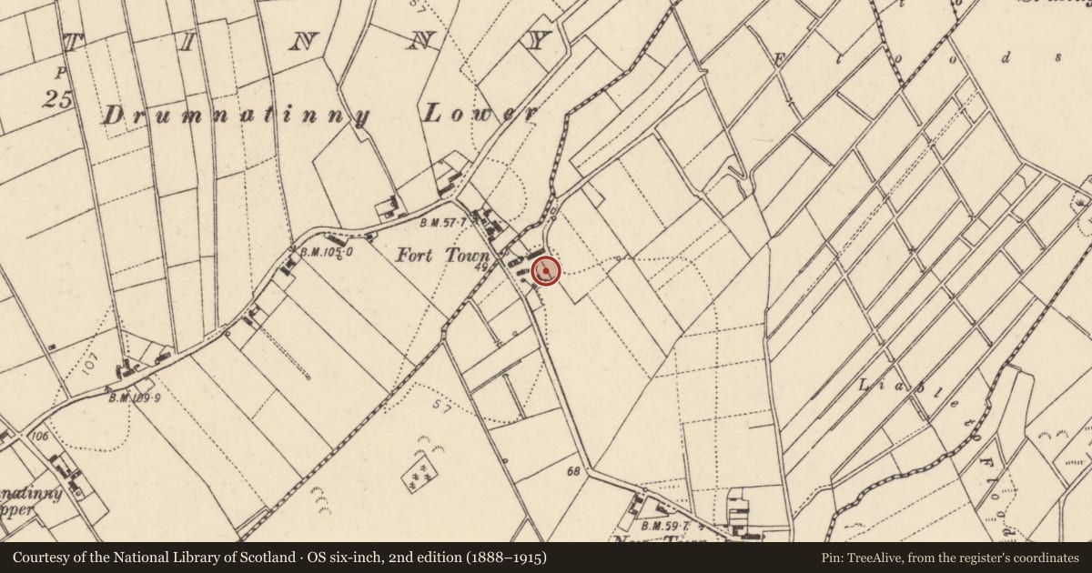 Ordnance Survey six-inch map, 2nd edition (1888–1915) covering the location of Ringfort - rath, Baile Chonaill, County Donegal, with a pin at the register's coordinates