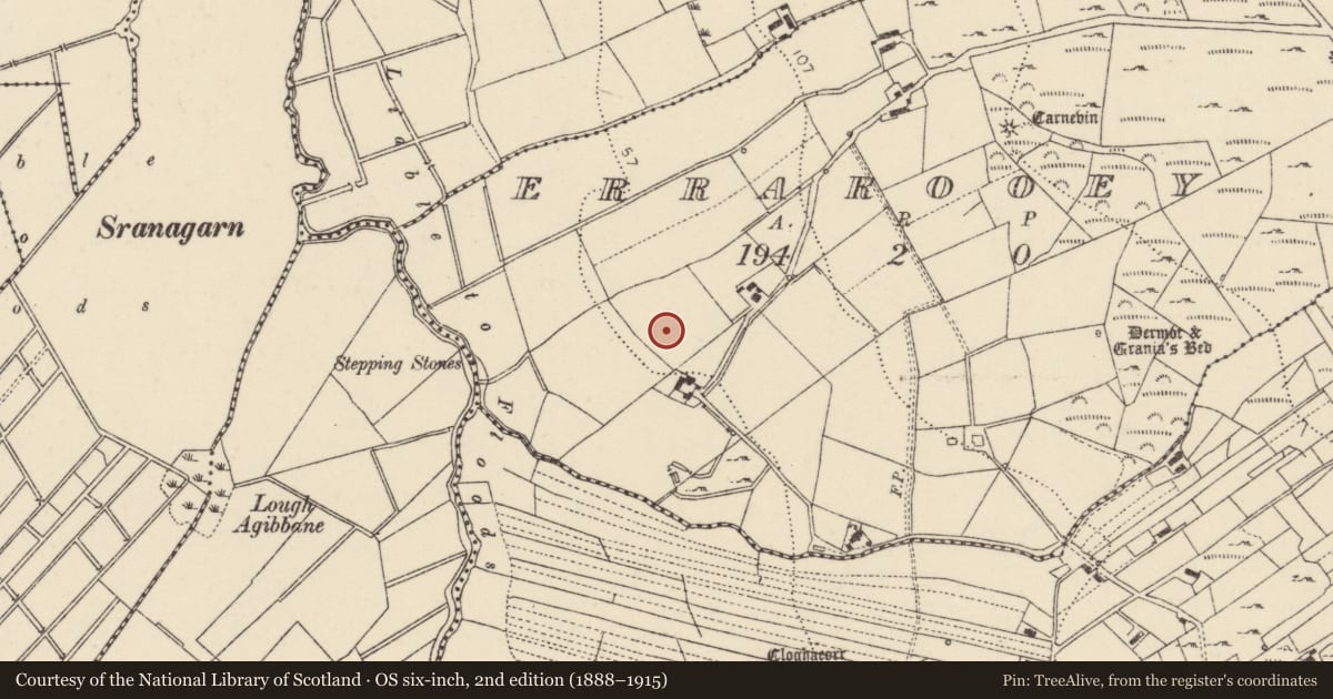 Ordnance Survey six-inch map, 2nd edition (1888–1915) covering the location of Ringfort - unclassified, Oirear Dhumhaí Beag, County Donegal, with a pin at the register's coordinates