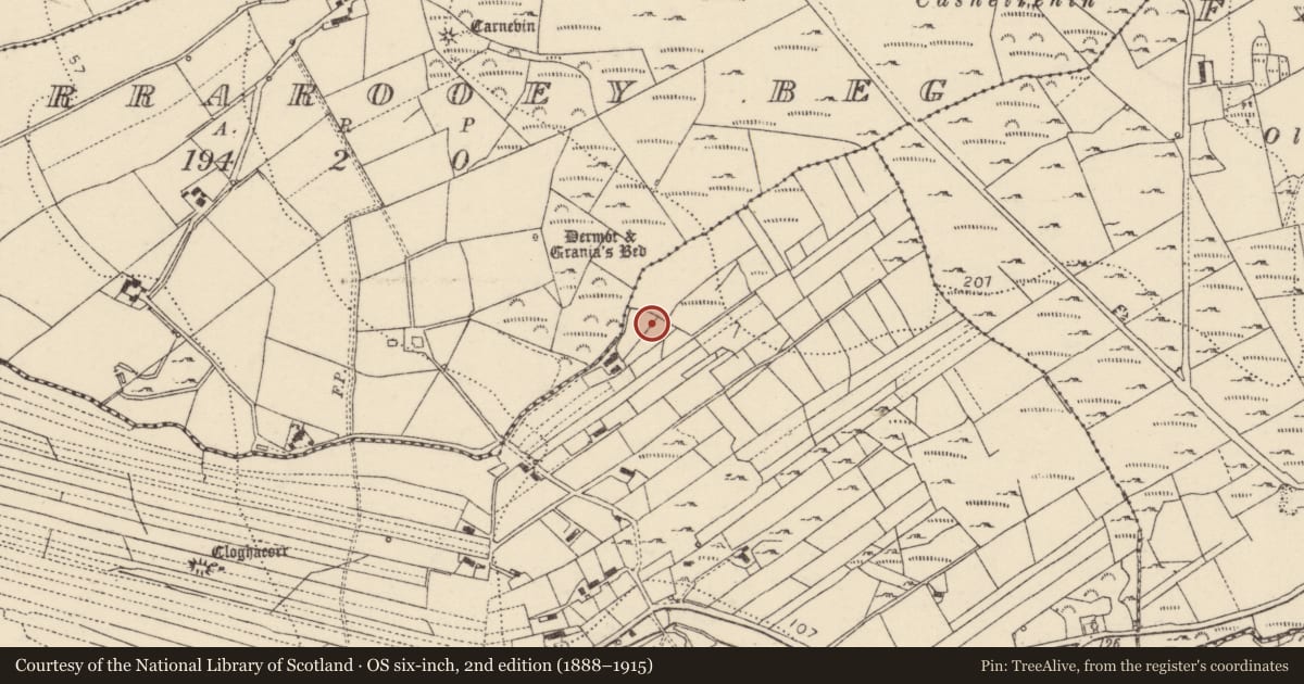Ordnance Survey six-inch map, 2nd edition (1888–1915) covering the location of Ringfort - unclassified, Baile Na Bó, County Donegal, with a pin at the register's coordinates