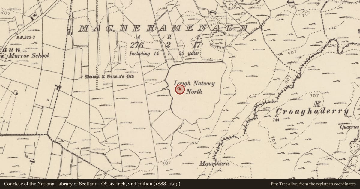 Ordnance Survey six-inch map, 2nd edition (1888–1915) covering the location of Crannog, Magheramenagh, County Donegal, with a pin at the register's coordinates