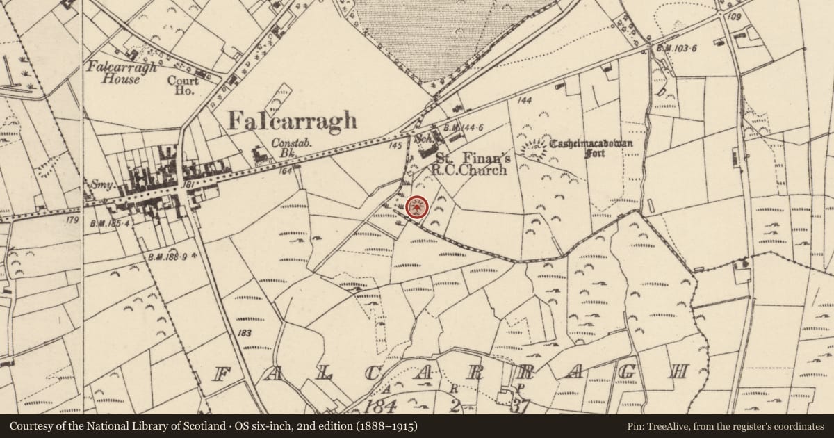Ordnance Survey six-inch map, 2nd edition (1888–1915) covering the location of Enclosure, An Cheathrú Cheanainn, County Donegal, with a pin at the register's coordinates