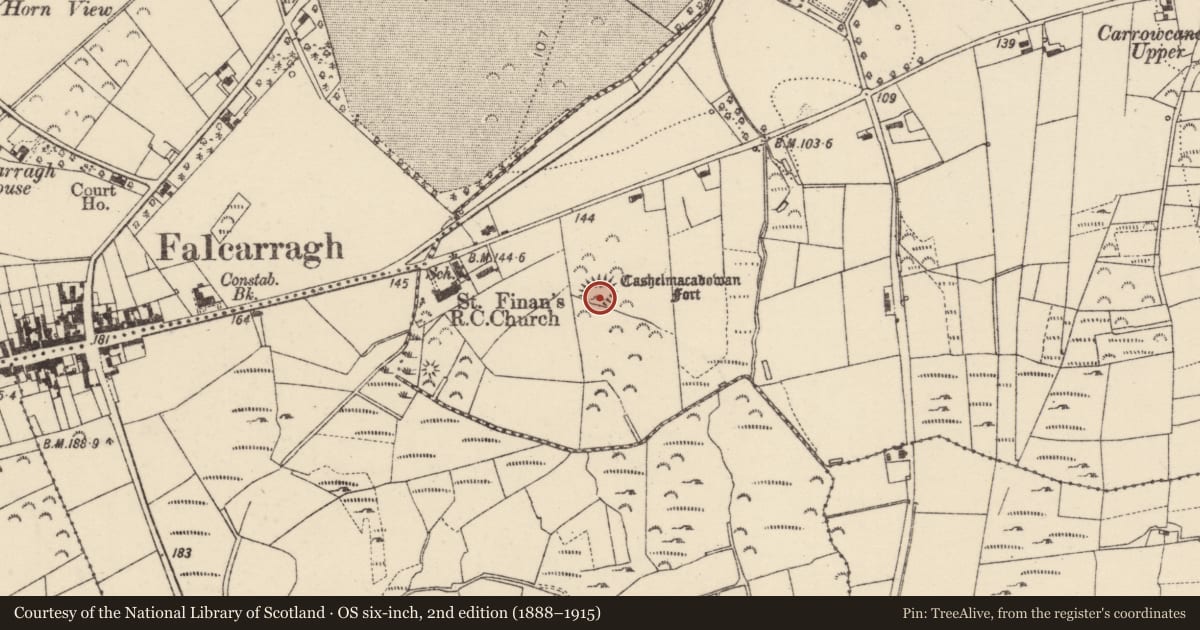 Ordnance Survey six-inch map, 2nd edition (1888–1915) covering the location of Ringfort - cashel, An Cheathrú Cheanainn, County Donegal, with a pin at the register's coordinates