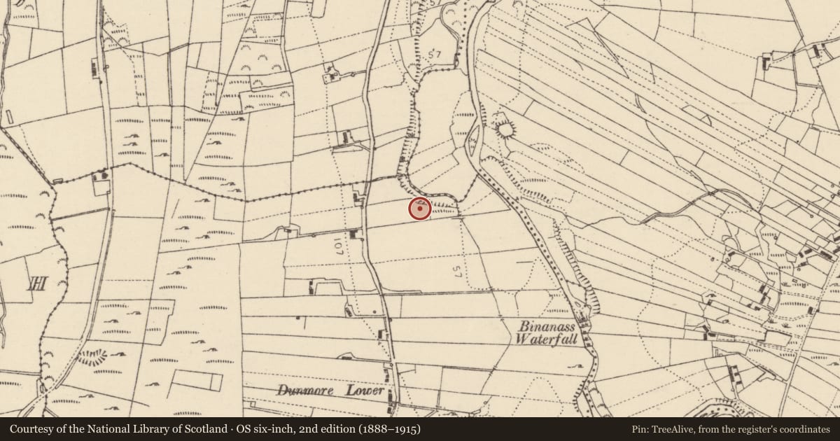 Ordnance Survey six-inch map, 2nd edition (1888–1915) covering the location of Ringfort - cashel, An Dún Mór (TC Na Croisbhealaí), County Donegal, with a pin at the register's coordinates