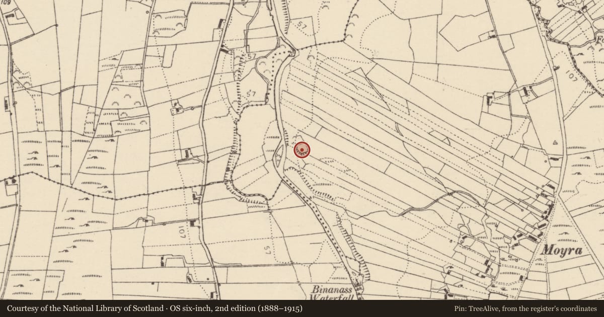 Ordnance Survey six-inch map, 2nd edition (1888–1915) covering the location of Ringfort - rath, Maigh Ráithe, County Donegal, with a pin at the register's coordinates