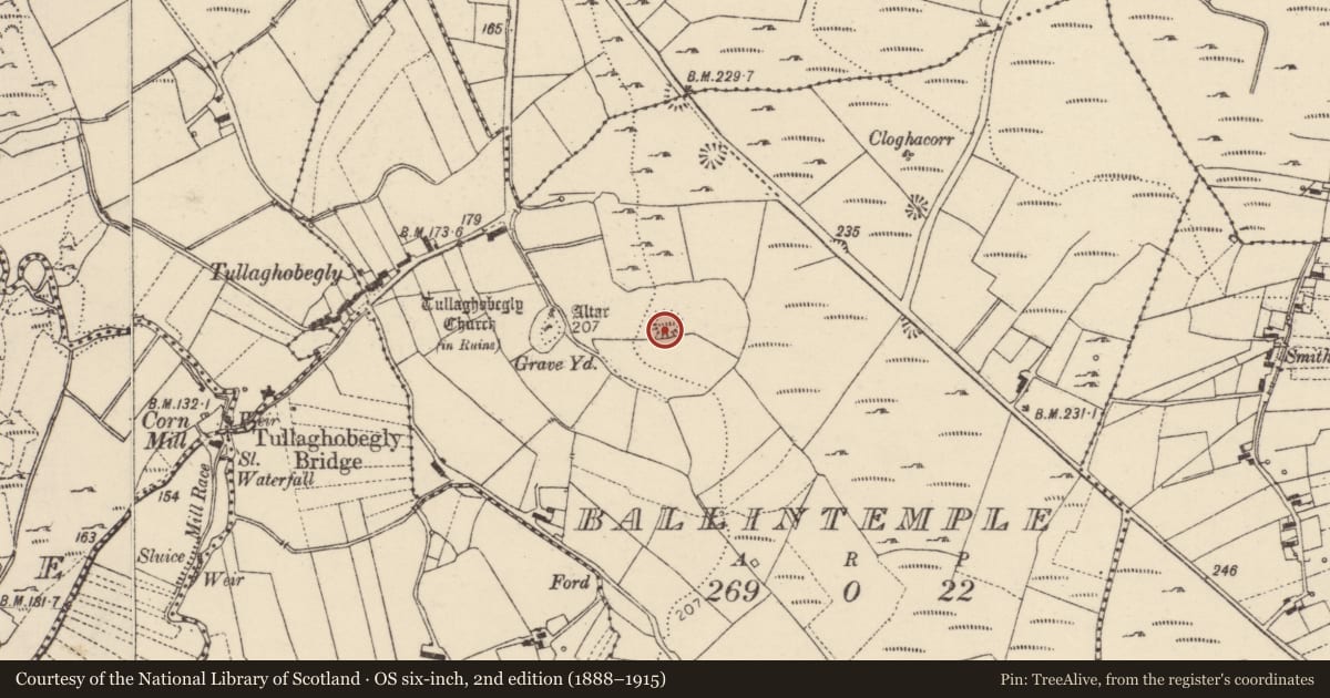 Ordnance Survey six-inch map, 2nd edition (1888–1915) covering the location of Burial ground, Baile An Teampaill, County Donegal, with a pin at the register's coordinates