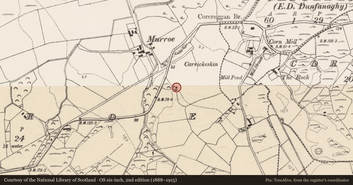 Ordnance Survey six-inch map, 2nd edition (1888–1915) covering the location of Enclosure, Murroe, County Donegal, with a pin at the register's coordinates