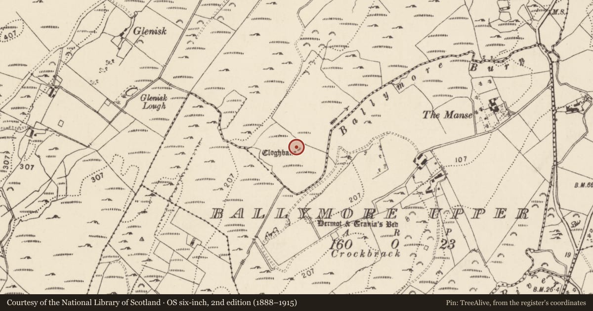 Ordnance Survey six-inch map, 2nd edition (1888–1915) covering the location of Stone row, Knocknafaugher, County Donegal, with a pin at the register's coordinates