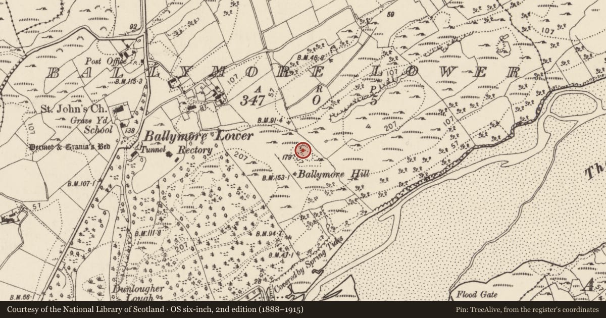 Ordnance Survey six-inch map, 2nd edition (1888–1915) covering the location of Ringfort - rath, Ballymore Lower, County Donegal, with a pin at the register's coordinates