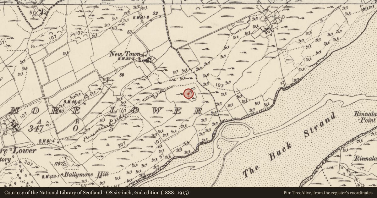 Ordnance Survey six-inch map, 2nd edition (1888–1915) covering the location of Ringfort - cashel, Ballymore Lower, County Donegal, with a pin at the register's coordinates