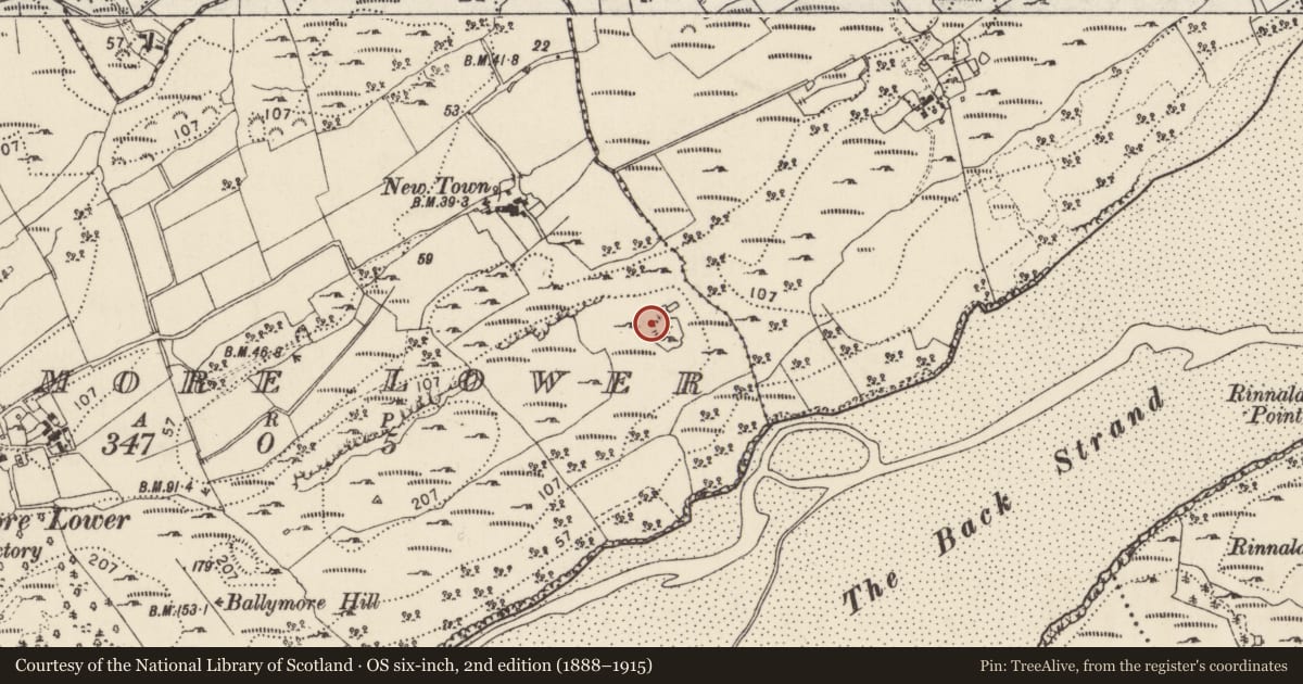 Ordnance Survey six-inch map, 2nd edition (1888–1915) covering the location of Hut site, Ballymore Lower, County Donegal, with a pin at the register's coordinates